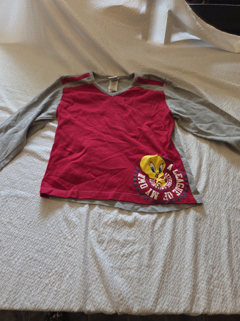 vintage Looney Tunes long-sleeve Tweety Bird V-neck top Xl